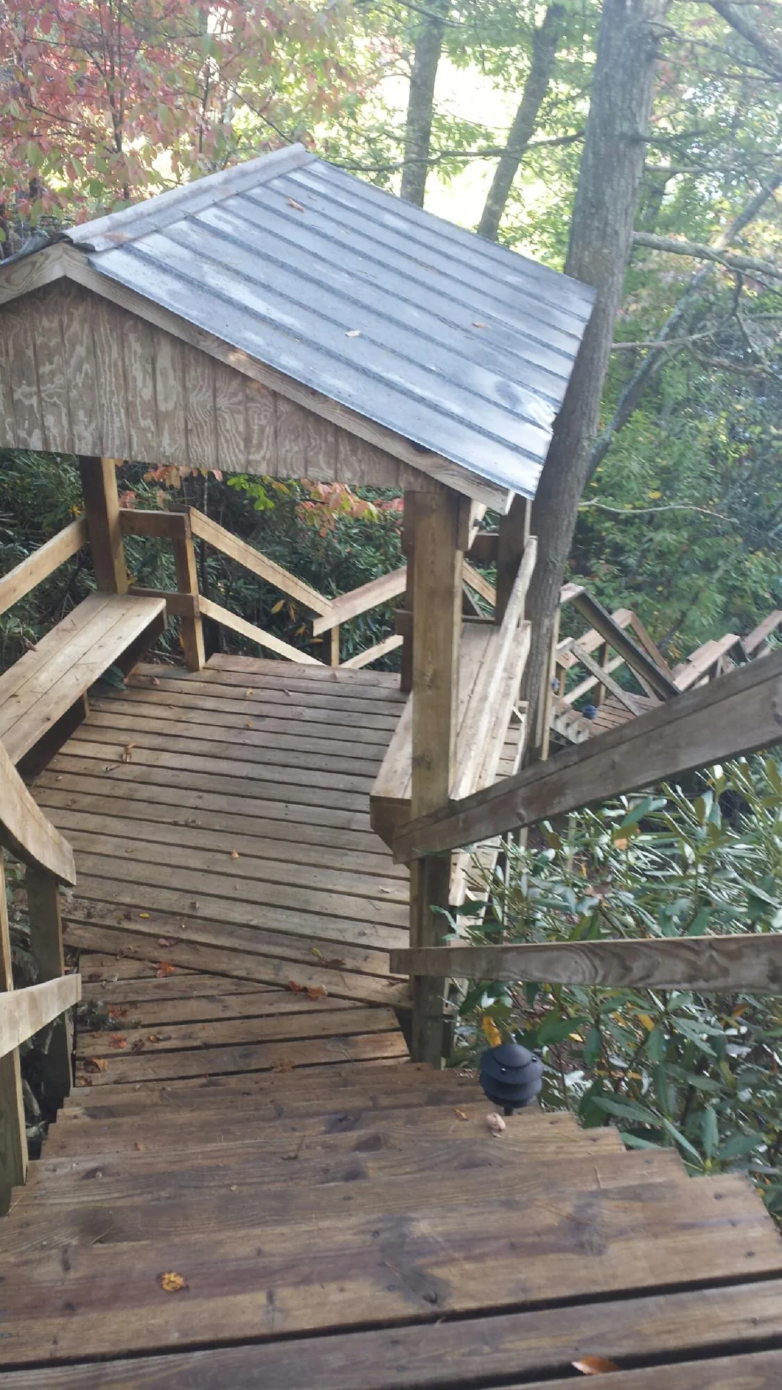 Metal roofed shelter over wooden steps on a wooded walkway in Aldie